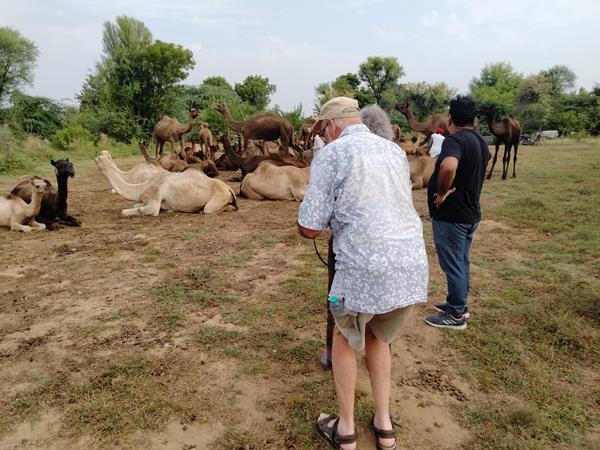 Wildlife and cultural tour in India