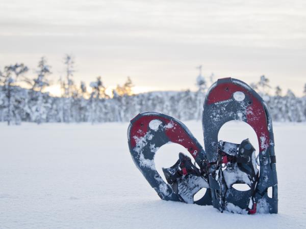 Northern Lights vacation, Finnish Lapland