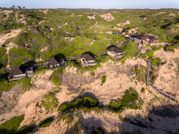 South Africa safari with beach break in Mozambique