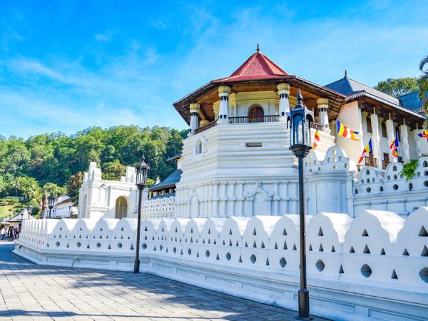 Sri Lanka culture and wildlife boutique vacation