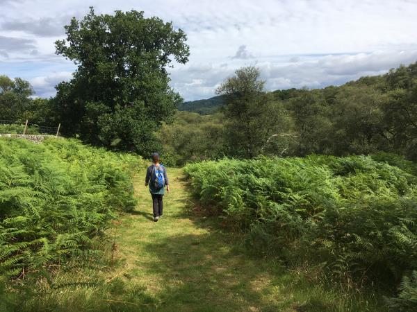 Scottish highlands activity week