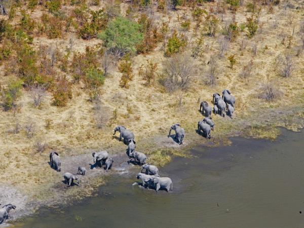 Luxury safari in Botswana with Victoria Falls 