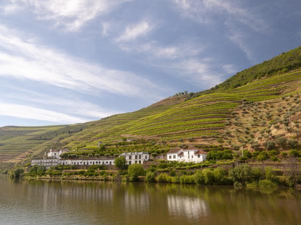Portuguese Douro wine region walking vacation