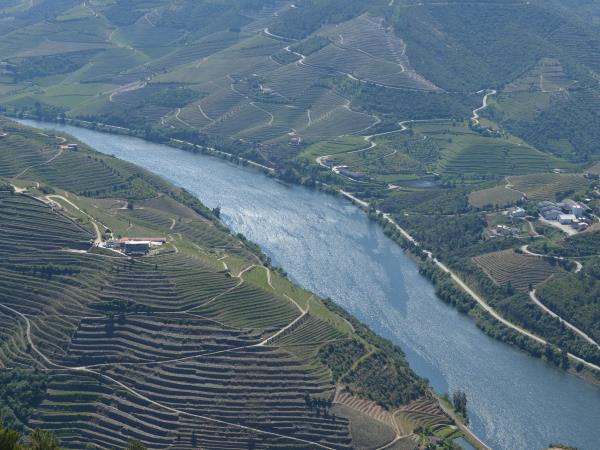 Portuguese Douro wine region walking vacation