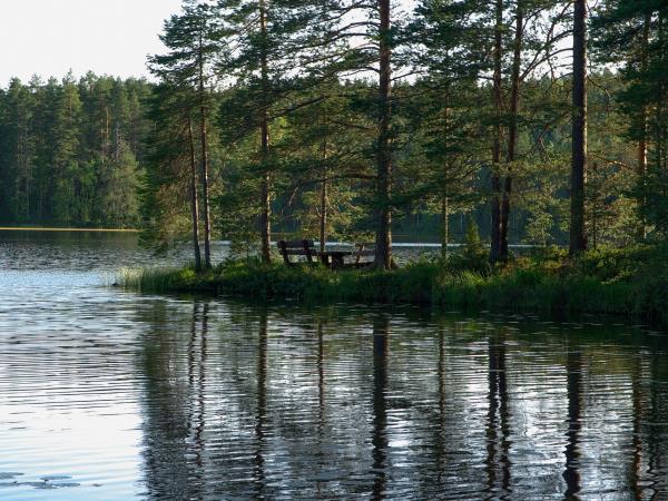 Helsinki and Lakeland nature tour 