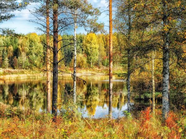 Helsinki and Lakeland nature tour 