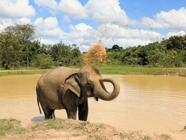14 day Thailand highlights vacation