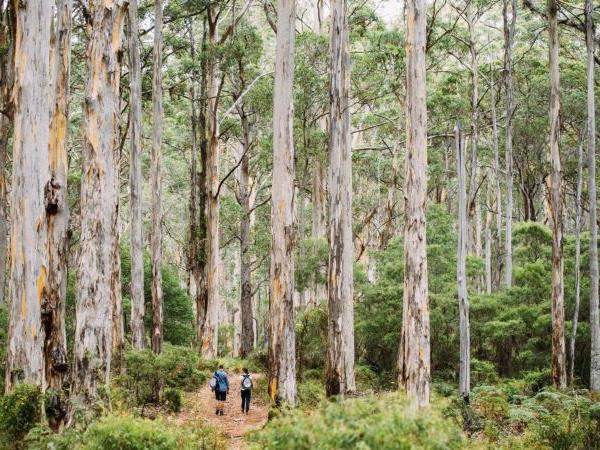 Bibbulmun track walking vacation, Western Australia