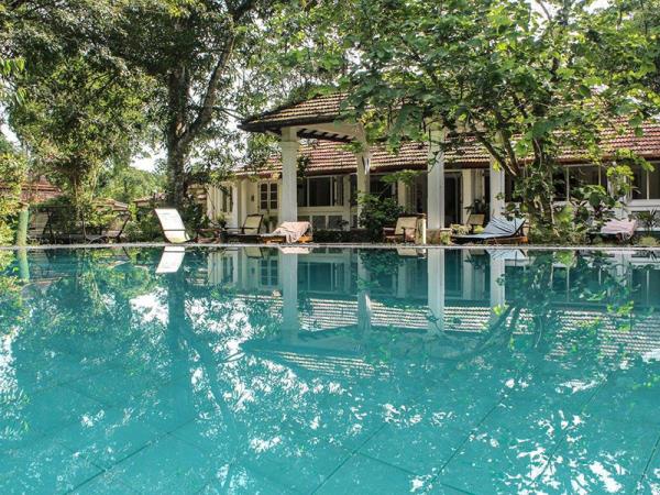 Sri Lanka detox & wellness vacation