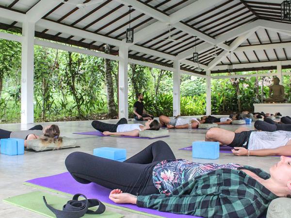 Sri Lanka detox & wellness vacation