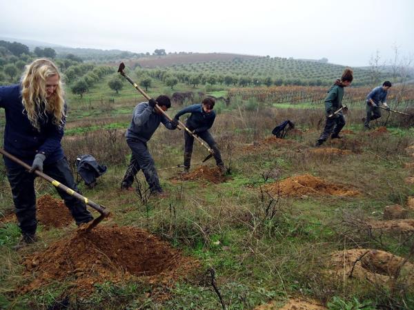 Volunteer vacations in Lisbon
