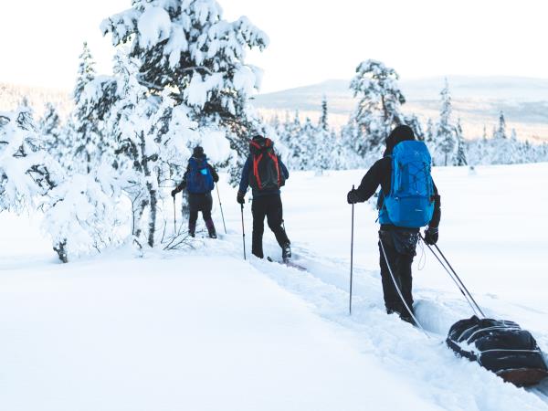 Winter ski touring in Sweden vacayion