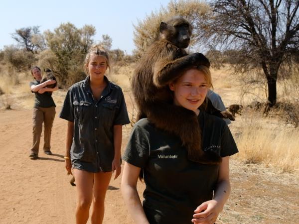 Harnas wildlife sanctuary volunteering, Namibia