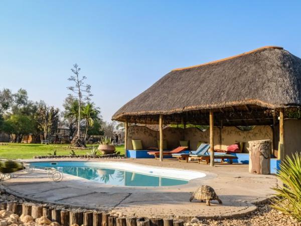 Harnas wildlife sanctuary volunteering, Namibia