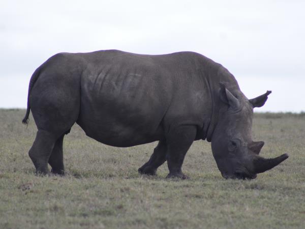 Uganda wildlife and activity holiday