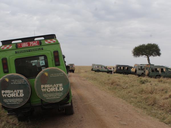 Uganda culture, traditions & wildlife vacation