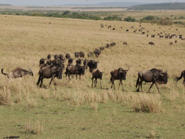 Uganda culture, traditions & wildlife vacation