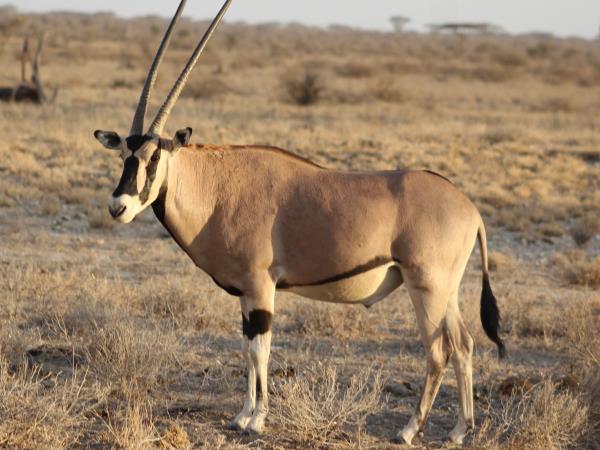 Uganda culture, traditions & wildlife vacation