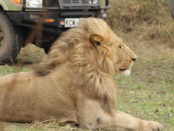 Uganda wildlife vacation