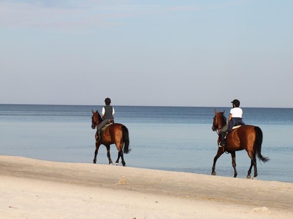Horseback safari, South Africa