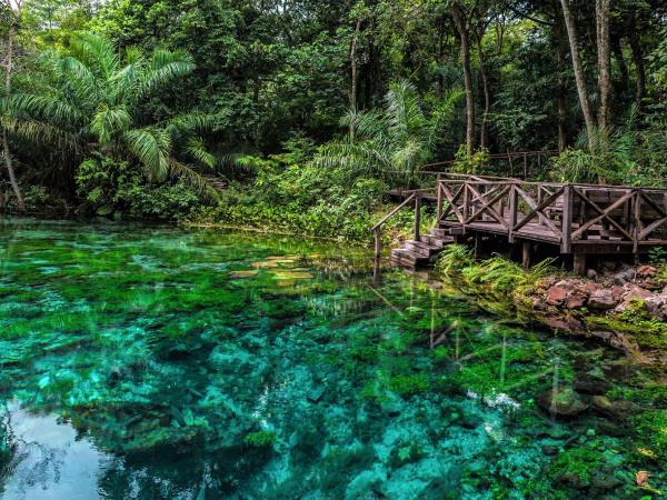 Brazil wildlife vacation, waterfalls and beaches