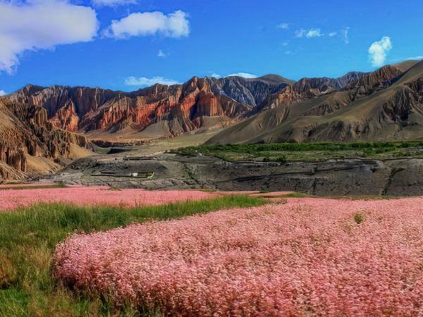 Nepal photography tour, magical Mustang