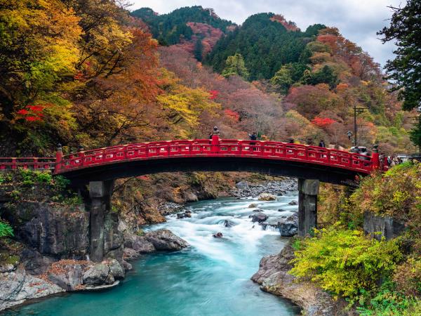 Japan photo tour in autumn foliage season