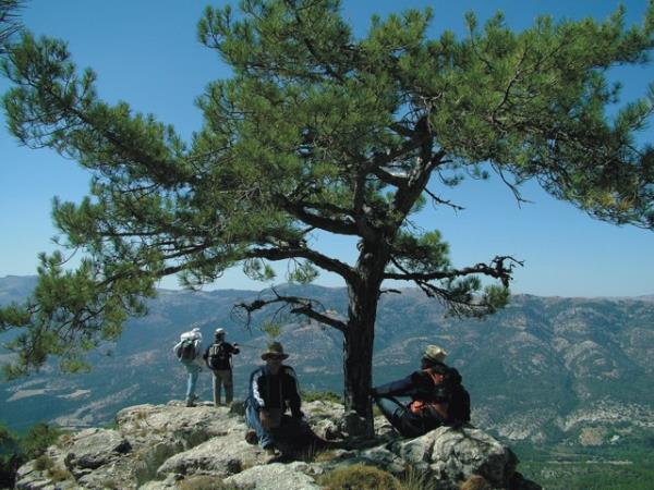 Andalucian mountains self-guided walking vacation, Spain