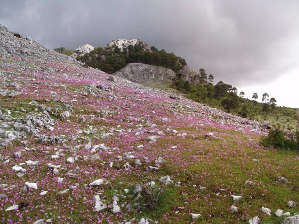 Andalucian mountains self-guided walking vacation, Spain