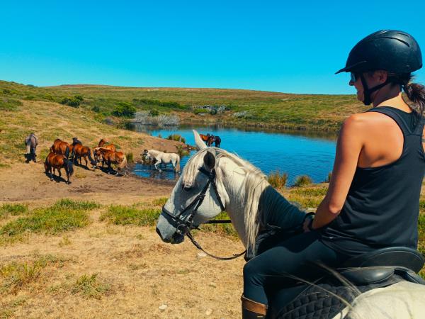 North Portugal horse riding vacation