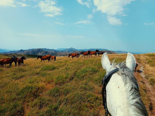 North Portugal horse riding vacation
