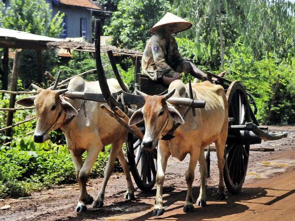 Thailand, Laos and Cambodia vacation