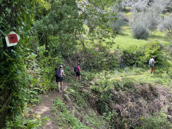 Mainalon Trail guided hiking vacation in Greece
