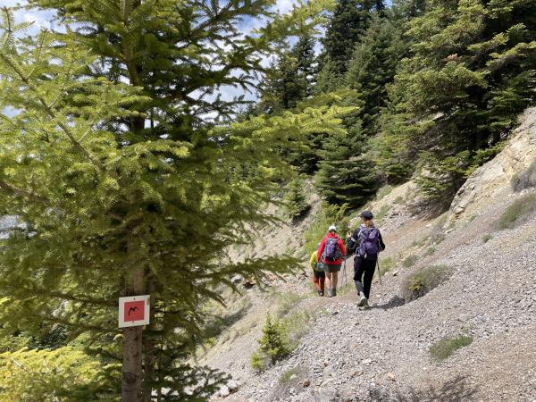 Mainalon Trail guided hiking vacation in Greece