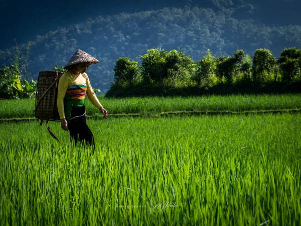 Vietnam South to North photo tour