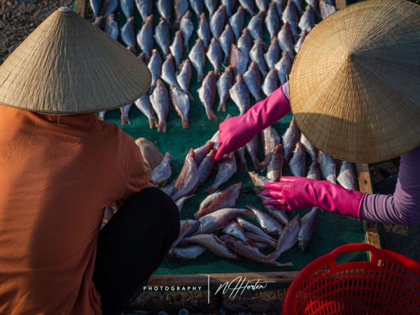 Vietnam South to North photo tour
