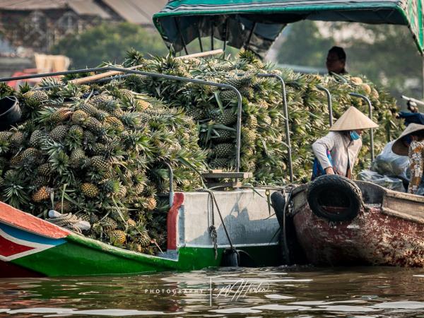Vietnam South to North photo tour