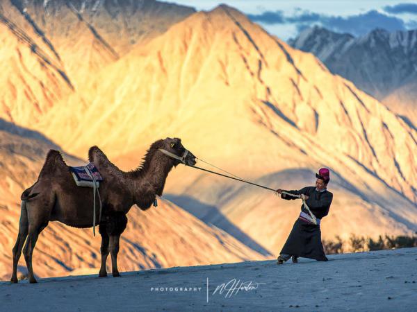Ladakh photography tour in India