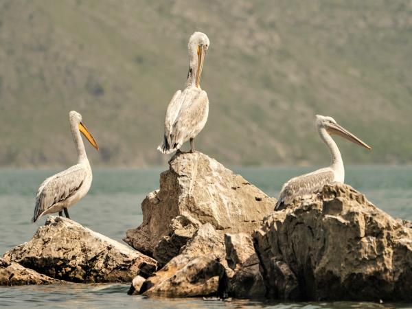 Montenegro to Albania kayak vacation