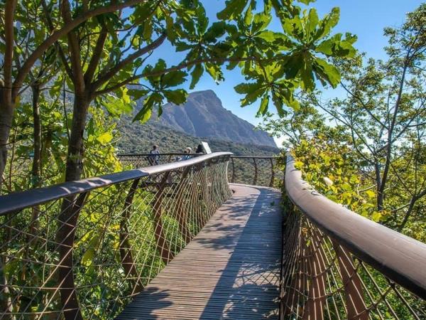 Wellness, wine & safari tour, South Africa