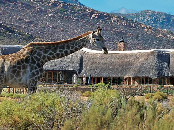 Wellness, wine & safari tour, South Africa