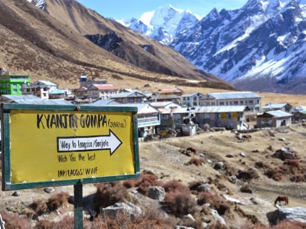Langtang trekking holidays in Nepal