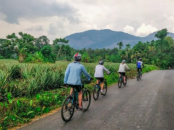 Kerala & Tamil Nadu mountain biking vacations, Western Ghats