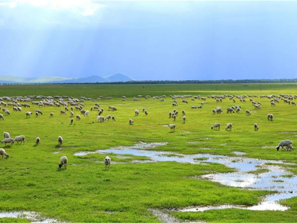 Inner Mongolia horse riding tour, China