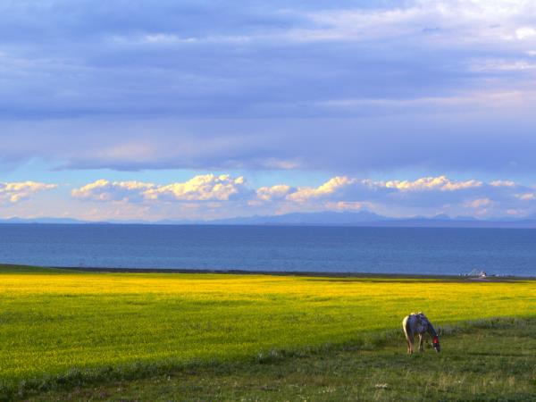 Qinghai Lake cycling tour in China