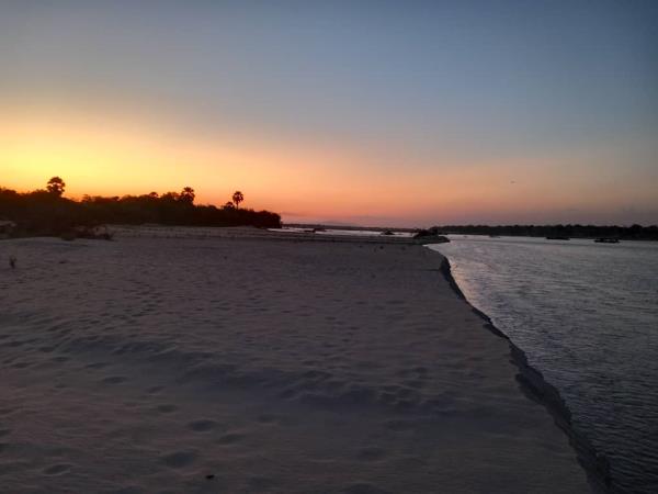 Nyerere NP & Mafia Island vacation