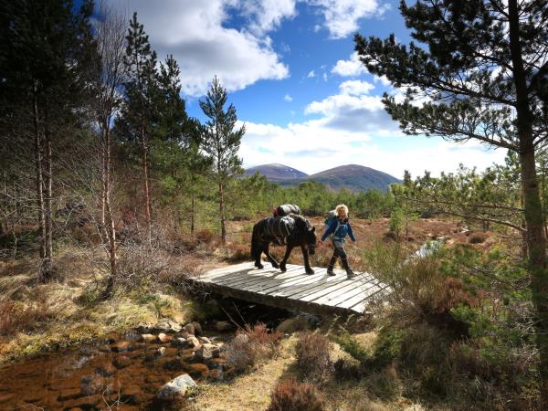 Scottish Highlands family vacation