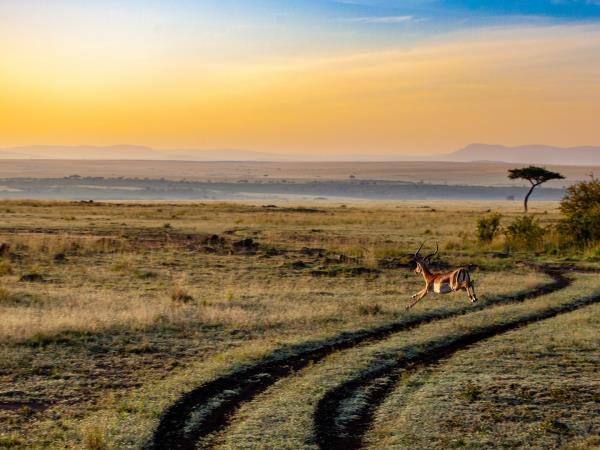 Ultimate Kenya luxury safari