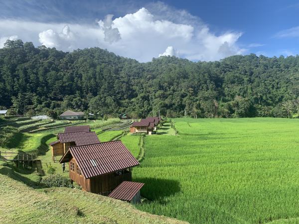 3 Day Hill Tribe and Tuk Tuk tour, self drive