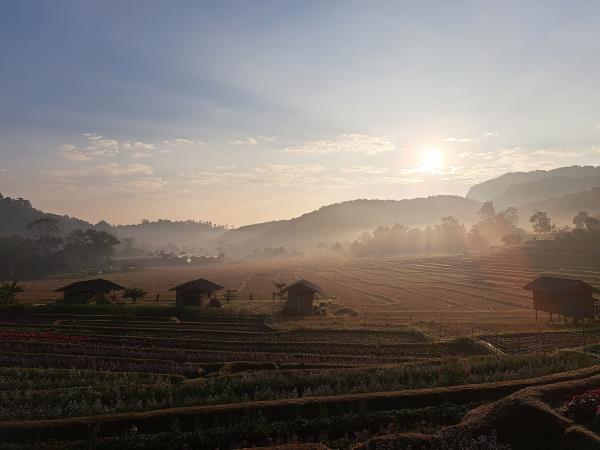 3 Day Hill Tribe and Tuk Tuk tour, self drive